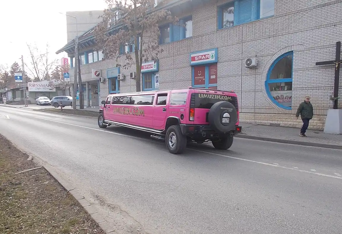 Pink Diamond Stretch Limousine — cabin and detail view