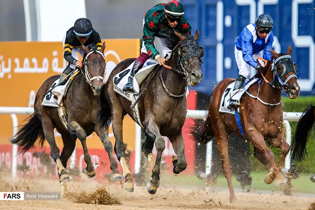 Sporting Events in Dubai — on the road